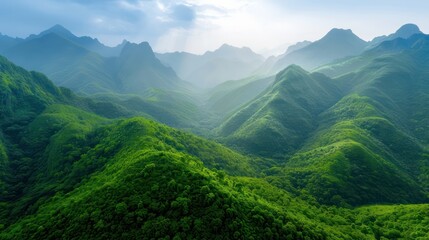 Wall Mural - The mountains are covered in lush green trees and the sky is clear