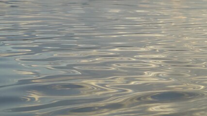 Wall Mural - Water ripple reflection with sunset sky.
