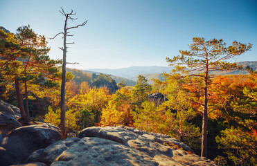 Canvas Print - Magical scene of forested slopes and distant mountain ranges. Dovbush Rocks, Carpathian mountains, Ukraine, Europe.