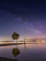 Wall Mural - milkyway over the lake