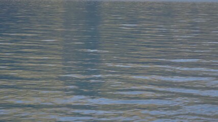 Wall Mural - Water ripple reflection with sunset sky.