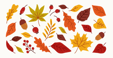 Wall Mural - Collection of hand drawn autumn leaves and berries. Fall leaves, maple, acorns, berries, oak, rowan. Vector trendy flat illustration.