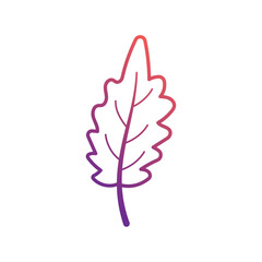 Wall Mural - autumn leaves icon vector