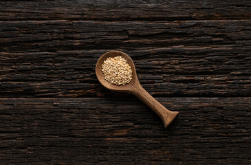 Sticker - Quinoa seeds in the spoon - Chenopodium quinoa