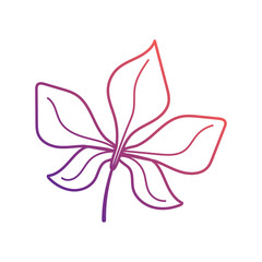 Wall Mural - autumn leaves icon vector