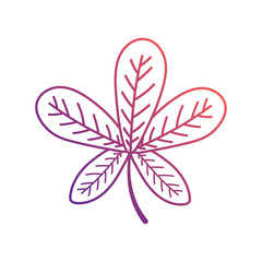 Wall Mural - autumn leaves icon vector