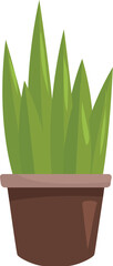 Poster - Green plant growing in pot, adding a touch of nature and freshness