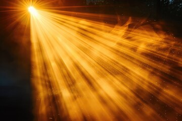 Wall Mural - sunlight overlay for design with transparent lens effect on black background.