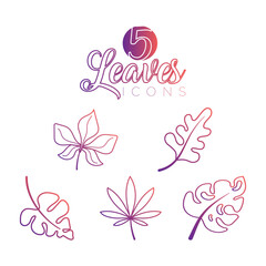 Wall Mural - autumn leaves icons set vector