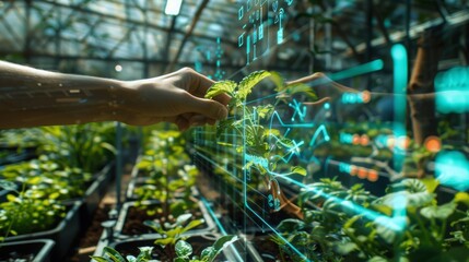 Poster - A hand reaches out to touch a plant in a greenhouse, a digital overlay showing data and information about the plant.