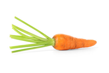 One fresh ripe carrot isolated on white