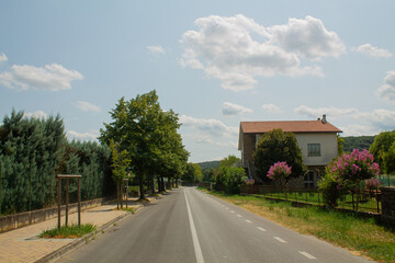 Road in the countryside with trees and the blue sky background 