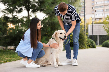 Sticker - Couple with cute Golden Retriever dog outdoors