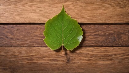 Sticker -  Natures Artistry  A single leaf on a wooden canvas