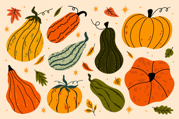 Set of various pumpkins vector illustration in cartoon groovy funky style. Collection of different shapes gourds. Cute colored, flat pumpkin hand drawn autumn harvest, fall, seasonal graphic elements