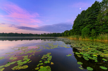 Wall Mural - colorful summer sunrise over the lake
