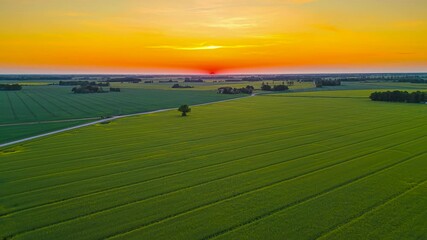 Wall Mural - aerial timelapse of the evening sun dissapearing behind the horizon and rural fields