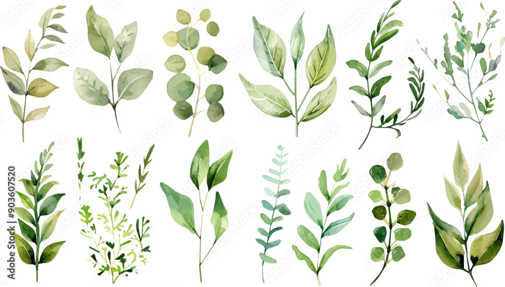 Set of green watercolor leaves on isolated background Stock Vector ...