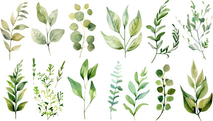 set of green watercolor leaves on isolated background