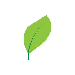 Canvas Print - leaf logo icon