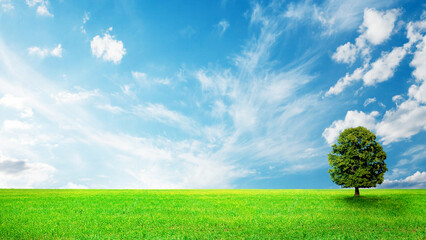 Wall Mural - summer landscape with green field and sky