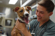 © anankkml - Veterinarian examines dog  in veterinary clinic