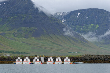 Hafen von Flateyri, Island