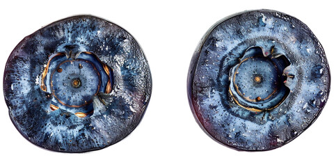 two blueberries