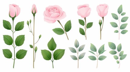 Sticker - Delicate watercolor wild rose illustrations featuring branches, buds, and leaves, all beautifully isolated on a white backdrop.