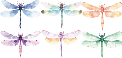 Diverse Collection of Multicolor Dragonflies, Elegant and Graceful Illustrations Perfect for Print Design, Textile Patterns, and Decorative Graphics