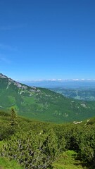 Wall Mural - Beautiful mountain landscape in summer. Tatras.