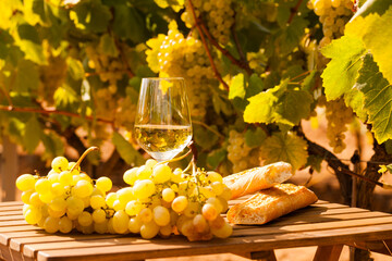 Wall Mural - Glass of White wine ripe grapes and bread on table in vineyard