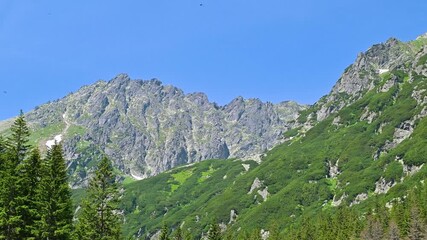 Wall Mural - Beautiful mountain landscape in summer. Tatras.