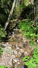 Wall Mural - Mountain river in the Tatras, Poland.