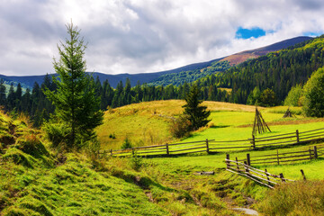 Sticker - carpathian rural landscape in autumn. beautiful countryside scenery of ukraine on a sunny day. fence on the green fields rolling through hills