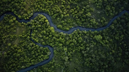 Aerial view of a winding river through a dense forest