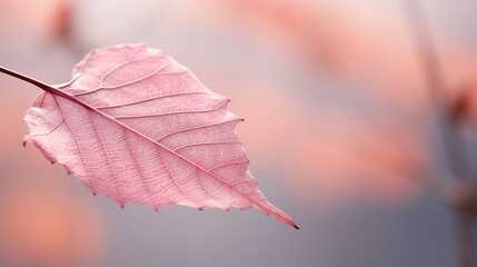 Wall Mural - nature pink fall leaves