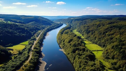 Wall Mural - Aerial View of a Winding River Through Lush Forests