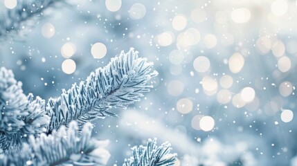 Poster - Snowy Pine Branch with a Blurred Background