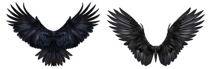 set of black wings on isolated white background