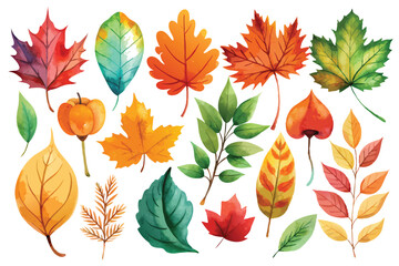 Sticker - Autumn leaves watercolour set with vibrant hues of crimson, gold, and amber, capturing the essence of the season.