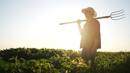 Sticker - Silhouette of a male farmer walking through soybean fields. Walks soybean work concept. Farmer working with pitchforks. Farmer working with lifestyle pitchfork and walking through soybeans.