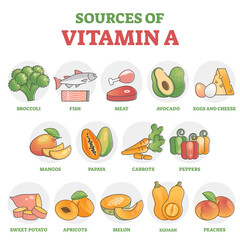 sources of vitamin a as healthy nutrition food examples in outline diagram, transparent background.