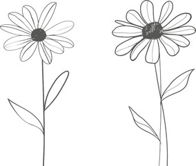 Poster - A minimalist beauty sunflower with a continuous line design on a t-shirt print. Modern graphic illustration that is suitable for posters, wall art, tote bags, mobile cases, and notebooks.
