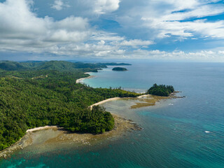 Wall Mural - Aerial drone of Borneo island covered with rainforest and sandy beach. Borneo, Malaysia.