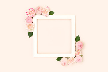 Wall Mural - square frame made of pink rose flowers and green leaves on a beige background. place for text.