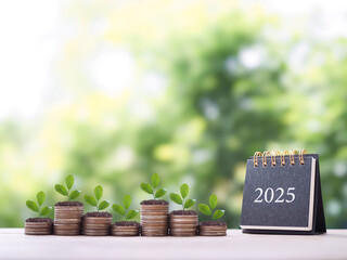 Wall Mural - 2025 desk calendar, Plants growing up on stack of coins. The concept of business growth, Financial investment, Market stock, Profit return, Dividend and Business fund in year 2025