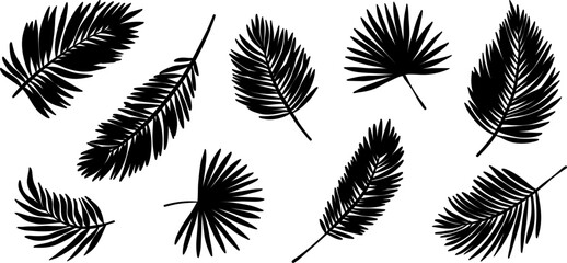 Wall Mural - Palm leaf silhouette clip art set, isolated tropical leaves, decorative illustration elements