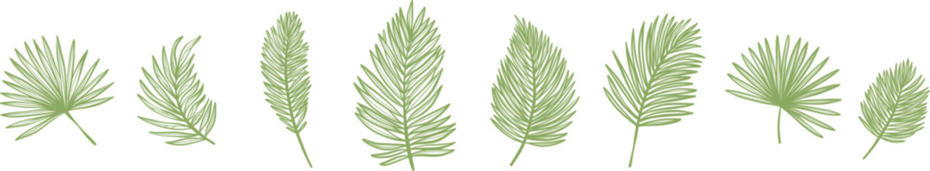 Aufkleber - Plam leaf banner design, line art elegant foliage tropical doodles, vector illustration set