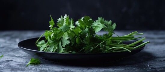 Poster - Coriander displayed on a black plate with abundant copy space image